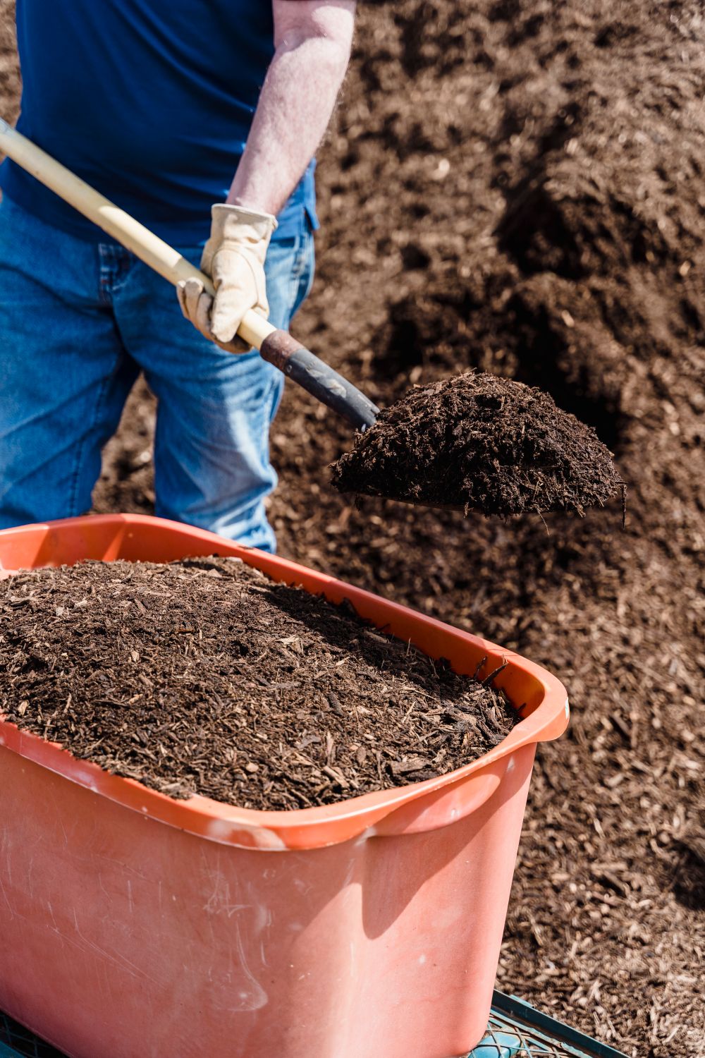 Dark, crumbly finished vermicompost